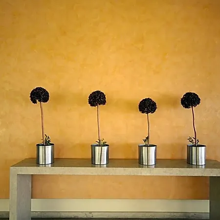 Paliria Hotel Chalkís